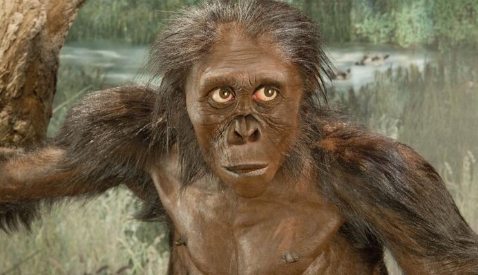 Вчені вивчили останки австралопітека, яким 3,5 млн років, і зробили цікаве відкриття: фото