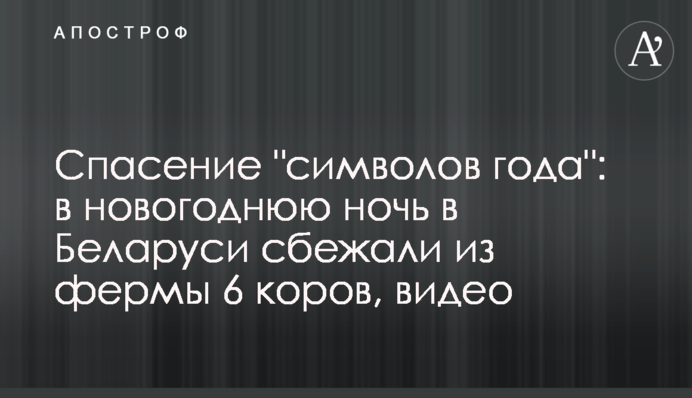 ​Порятунок 