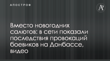 Вместо новогодних салютов: в сети показали последствия провокаций боевиков на Донбассе, видео