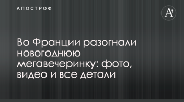 Во Франции разогнали новогоднюю мегавечеринку: фото, видео и все детали