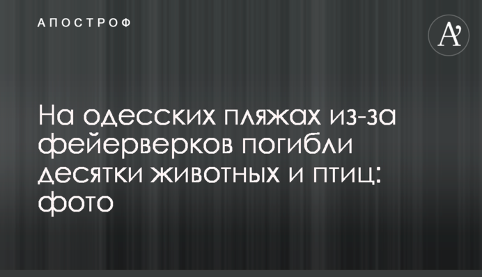 На одеських пляжах через феєрверки загинули десятки тварин і птахів: фото