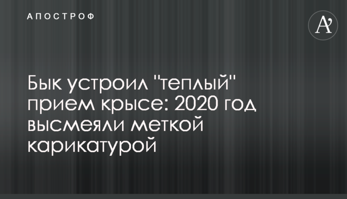 Бык устроил 