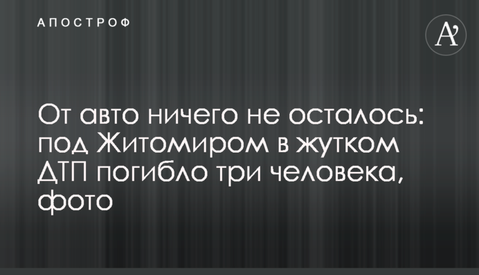 От авто ничего не осталось: под Житомиром в жутком ДТП погибло три человека, фото