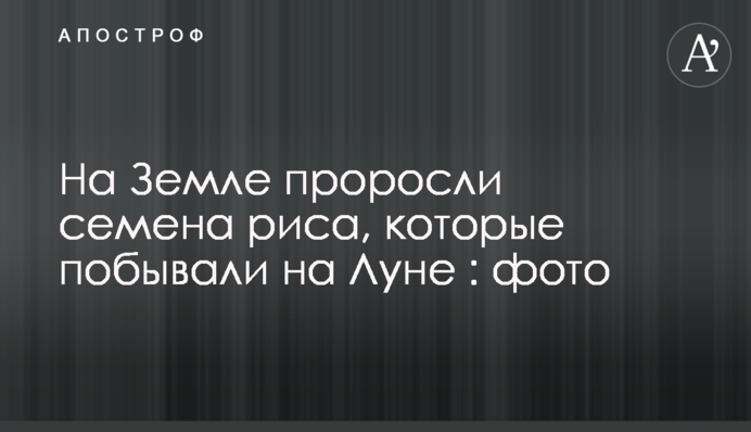 На Землі проросли насіння рису, які побували на Місяці: фото