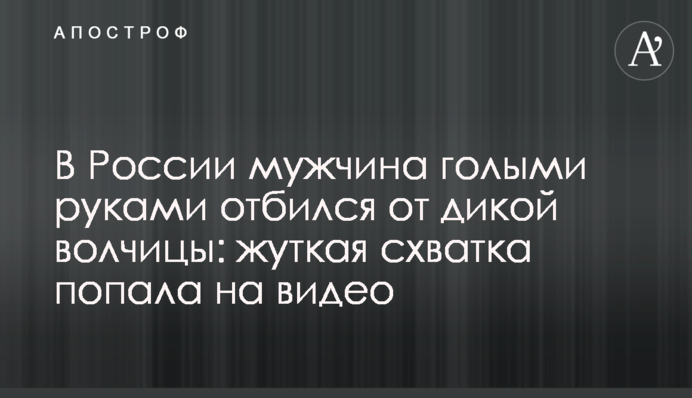 У Росії чоловік голіруч відбився від дикої вовчиці: моторошна сутичка потрапила на відео