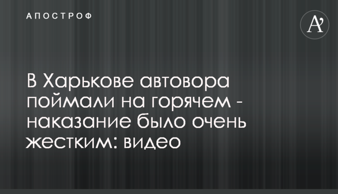 У Харкові автокрадія зловили на гарячому - покарання було дуже жорстким: відео