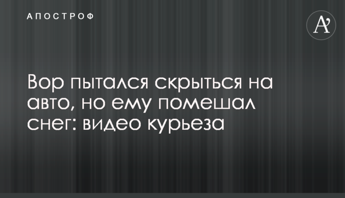 Злодій намагався втекти на авто, але йому завадив сніг: відео курйозу