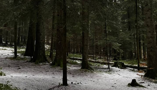 Український курорт на Різдво засипало 