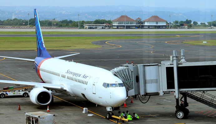 Катастрофа пасажирського літака в Індонезії: з'явилася офіційна заява влади