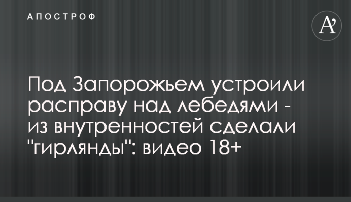 Під Запоріжжям влаштували розправу над лебедями - з нутрощів зробили 