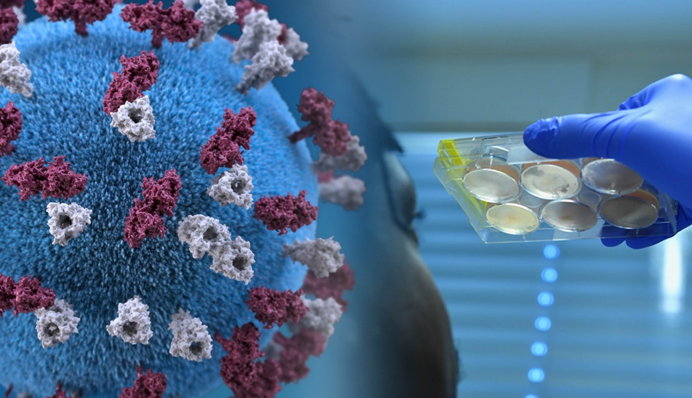 В Украине более 5 тыс. новых случаев коронавируса за сутки: статистика на 10 января