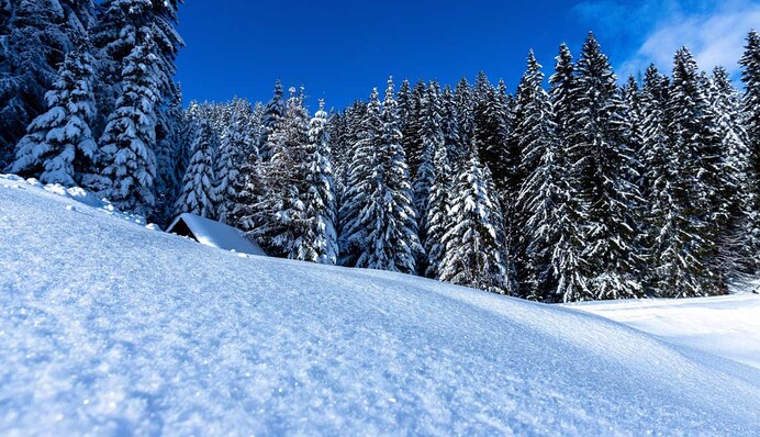 В Україні вдарять морози до -20: синоптики назвали дату похолодання