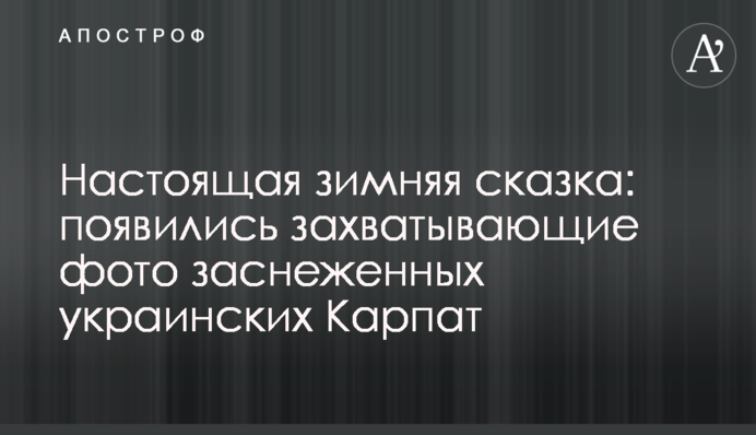Настоящая зимняя сказка: появились захватывающие фото заснеженных украинских Карпат