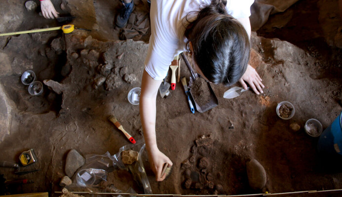 В Испании нашли странный артефакт с изображениями животных, которому почти 12 тыс. лет: фото