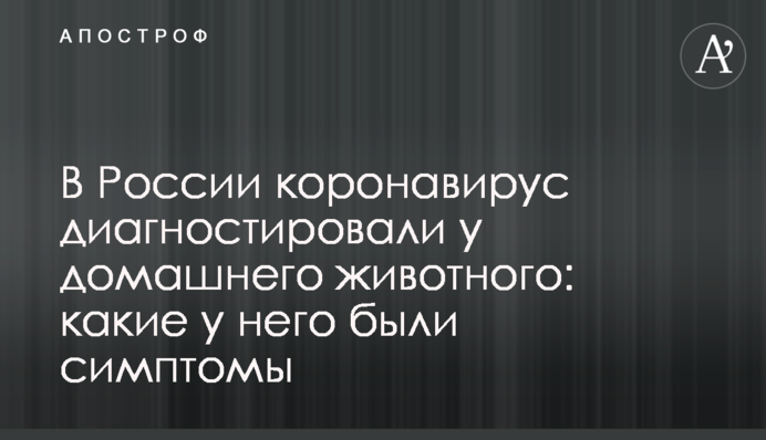 В России коронавирус диагностировали у домашнего животного: какие у него были симптомы