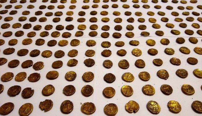 Наблюдатель за птицами с помощью сорок нашел сокровище на миллион долларов: фото