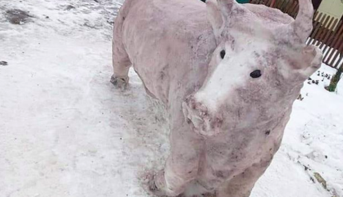 Силач, русалка і навіть корова: нові фото незвичайних сніговиків, зліплених українцями
