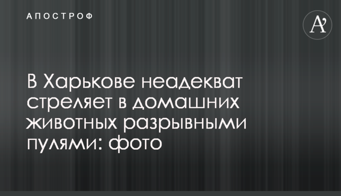 В Харькове неадекват стреляет в домашних животных разрывными пулями: фото