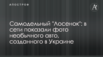 Саморобне "Лосеня": в мережі показали фото незвичайного авто, створеного в Україні