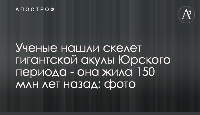 Ученые нашли скелет гигантской акулы Юрского периода - она жила 150 млн лет назад: фото