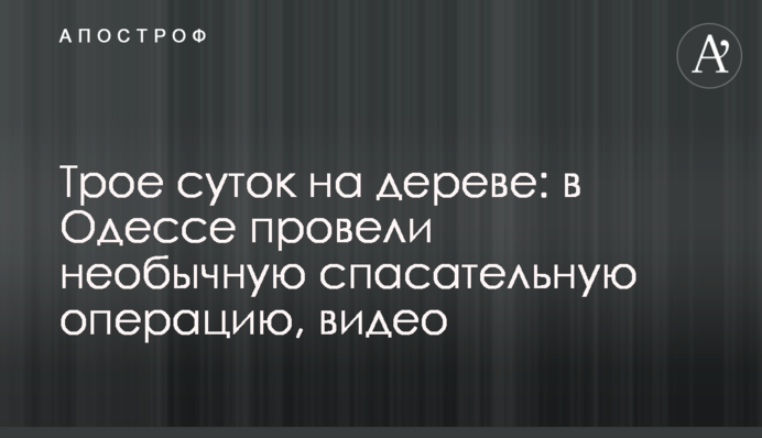 Трое суток на дереве: в Одессе провели необычную спасательную операцию, видео