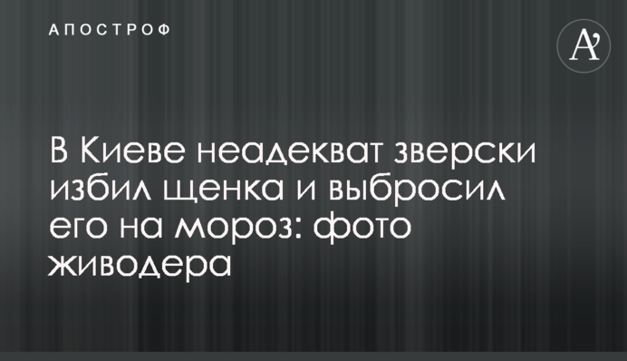 В Киеве неадекват зверски избил щенка и выбросил его на мороз: фото живодера