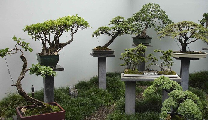 Археологи дізналися несподівану таємницю царя Ірода, який прославився своєю жорстокістю