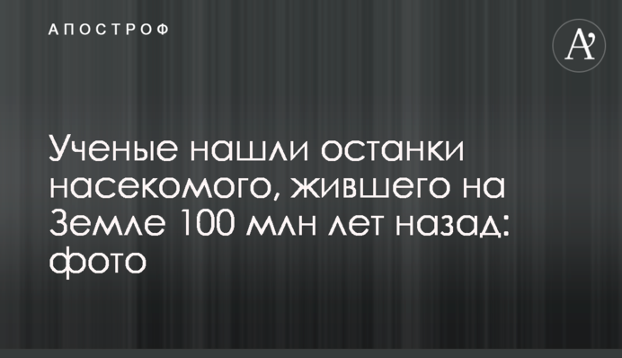 Вчені знайшли останки комахи, що жила на Землі 100 млн років тому: фото
