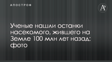 Ученые нашли останки насекомого, жившего на Земле 100 млн лет назад: фото