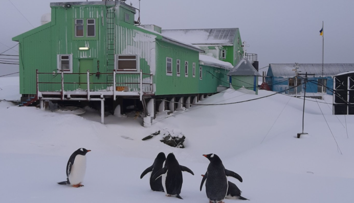 Україна відправила експедицію в Антарктиду: чим займуться вчені