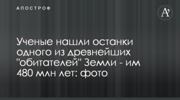 Ученые нашли останки одного из древнейших "обитателей" Земли - им 480 млн лет: фото