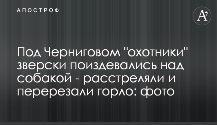 Під Черніговом 