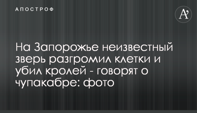 На Запоріжжі невідомий звір розгромив клітки і вбив кролів - кажуть про чупакабру: фото