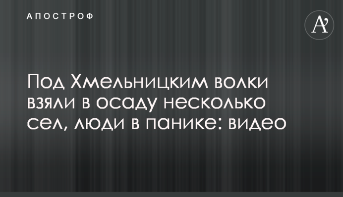 Під Хмельницьким вовки взяли в облогу кілька сіл, люди в паніці: відео
