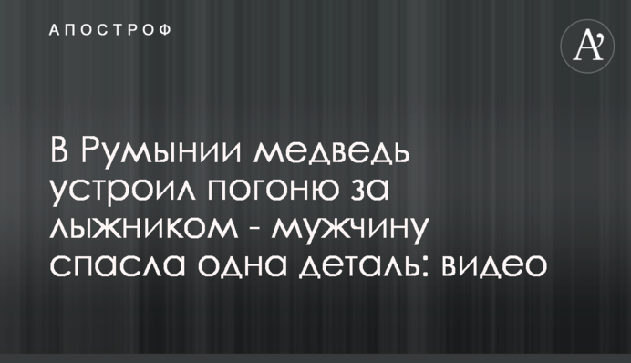 В Румынии медведь устроил погоню за лыжником - мужчину спасла одна деталь: видео