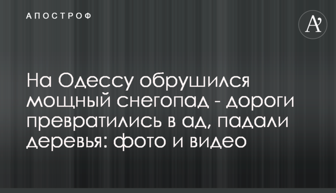 На Одессу обрушился мощный снегопад - дороги превратились в ад, падали деревья: фото и видео