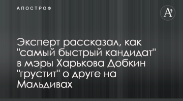 Експерт розповів, як "найшвидший кандидат" в мери Харкова Добкін "сумує" про друга на Мальдівах