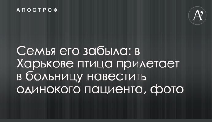 Семья его забыла: в Харькове птица прилетает в больницу навестить одинокого пациента, фото