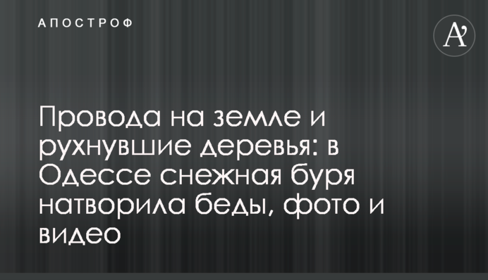 ​Дроти на землі і повалені дерева: в Одесі сніжна буря накоїла лиха, фото і відео