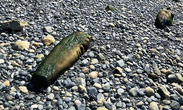 У Британській Колумбії знайшли древній загадковий стовп з каменю і відкрили його таємницю: фото