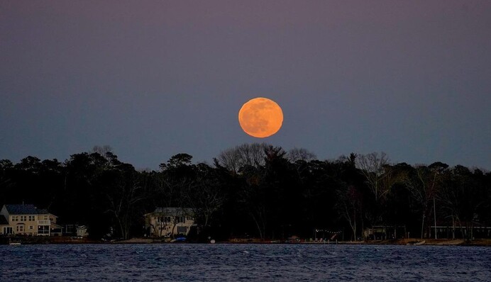 Вовча повня 2021: з'явилися нові видовищні фото з різних куточків планети