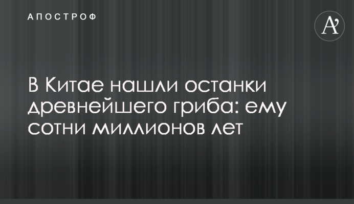 У Китаї знайшли останки найдавнішого гриба: йому сотні мільйонів років