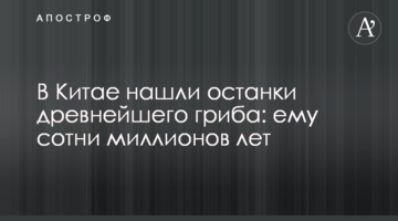 У Китаї знайшли останки найдавнішого гриба: йому сотні мільйонів років