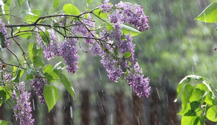 Над Україною розгорнеться 