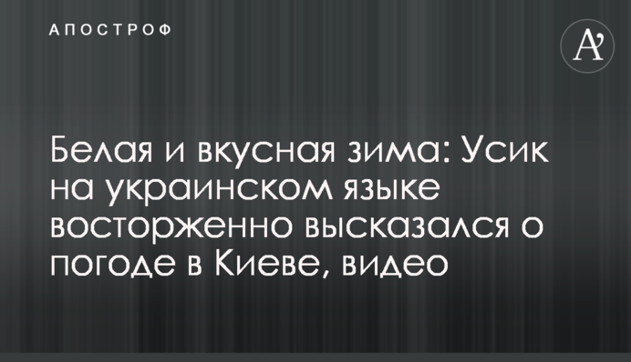 Белая и вкусная зима: Усик на украинском языке восторженно высказался о погоде в Киеве, видео