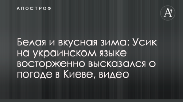 Біла і смачна зима: Усик українською мовою захоплено висловився про погоду в Києві, відео