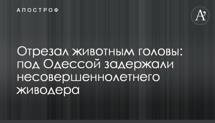 Отрезал животным головы: под Одессой задержали несовершеннолетнего живодера