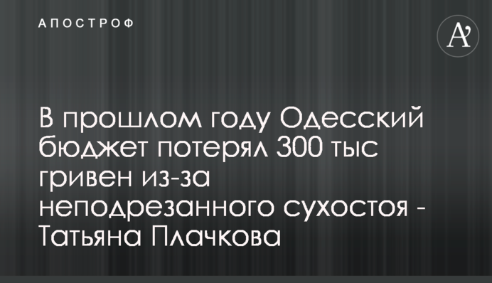 В прошлом году Одесский бюджет потерял 300 тыс гривен из-за неподрезанного сухостоя - Татьяна Плачкова