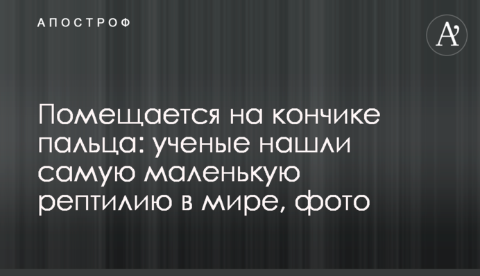 Помещается на кончике пальца: ученые нашли самую маленькую рептилию в мире, фото