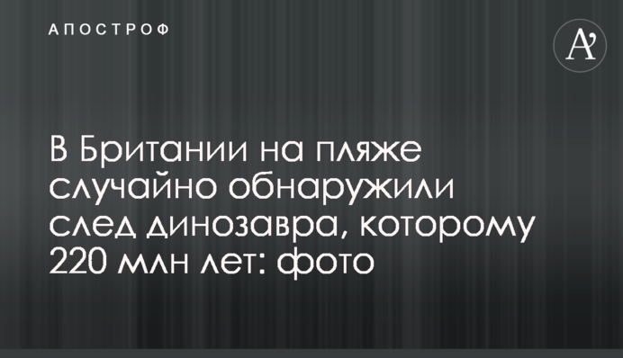 В Британии на пляже случайно обнаружили след динозавра, которому 220 млн лет: фото